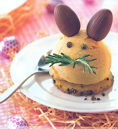 Glace Abricot - Romarin